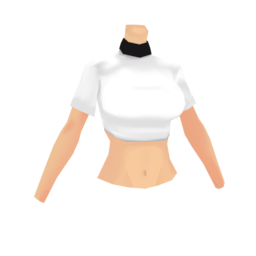 Basic (F) Crop Top